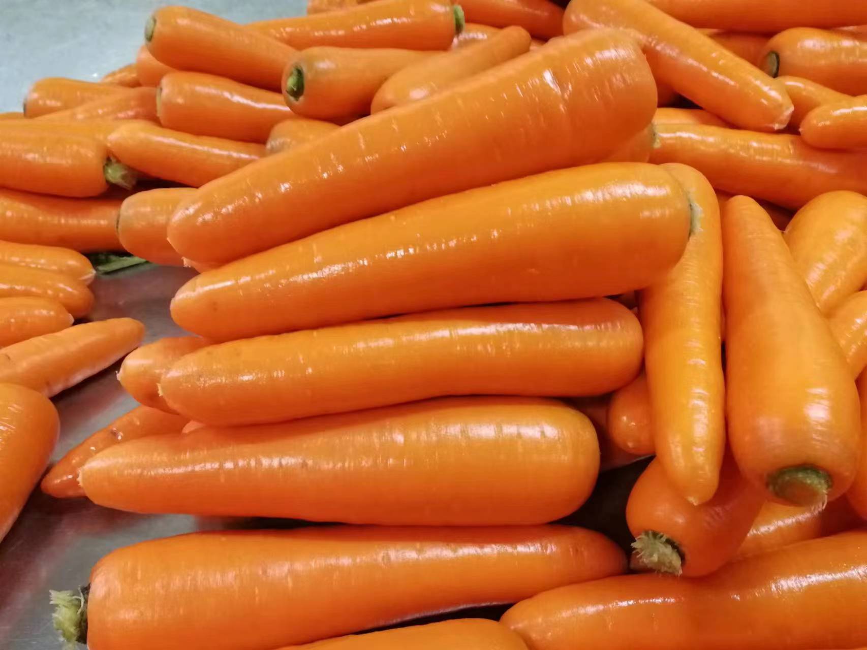 carrot、fresh carrot