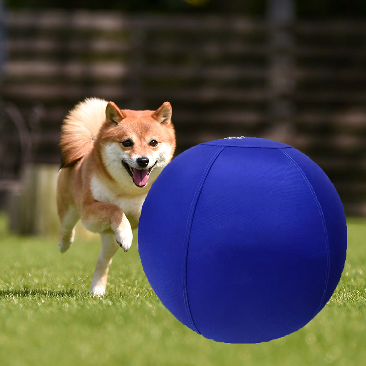 Pet Play Ball Herding Ball for Dogs Horse Ball Medium Dog Toys Horse Toys Durable Oxford Fabric