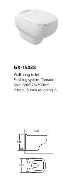 Wall Hung Toilet