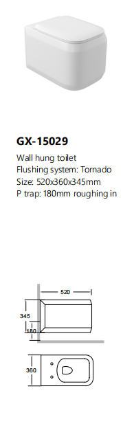 wall hung toilet