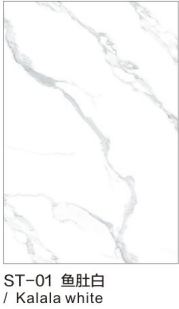 Xinyang+wall Panel+st-01
