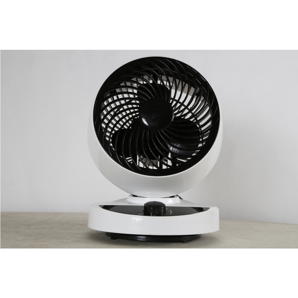 Foshan Sanshui Ricai Electrical Appliance Co., Ltd – microondas compacto 1