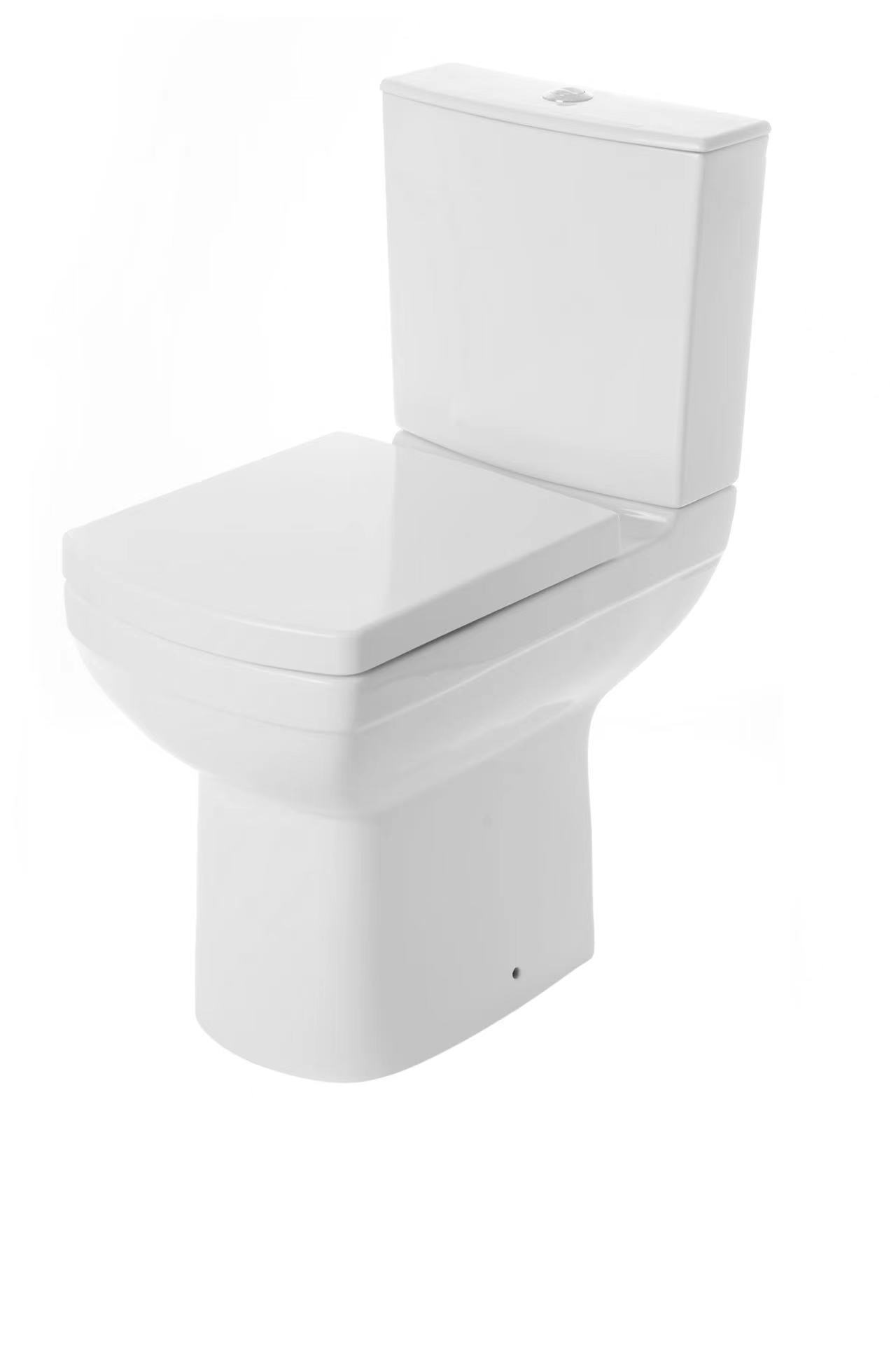 Ceramic sanitary ware