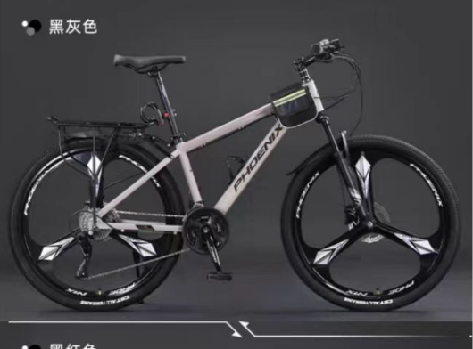 Jiangsu Longhui Intelligent Technology Co., Ltd. – cadena de bicicleta 1
