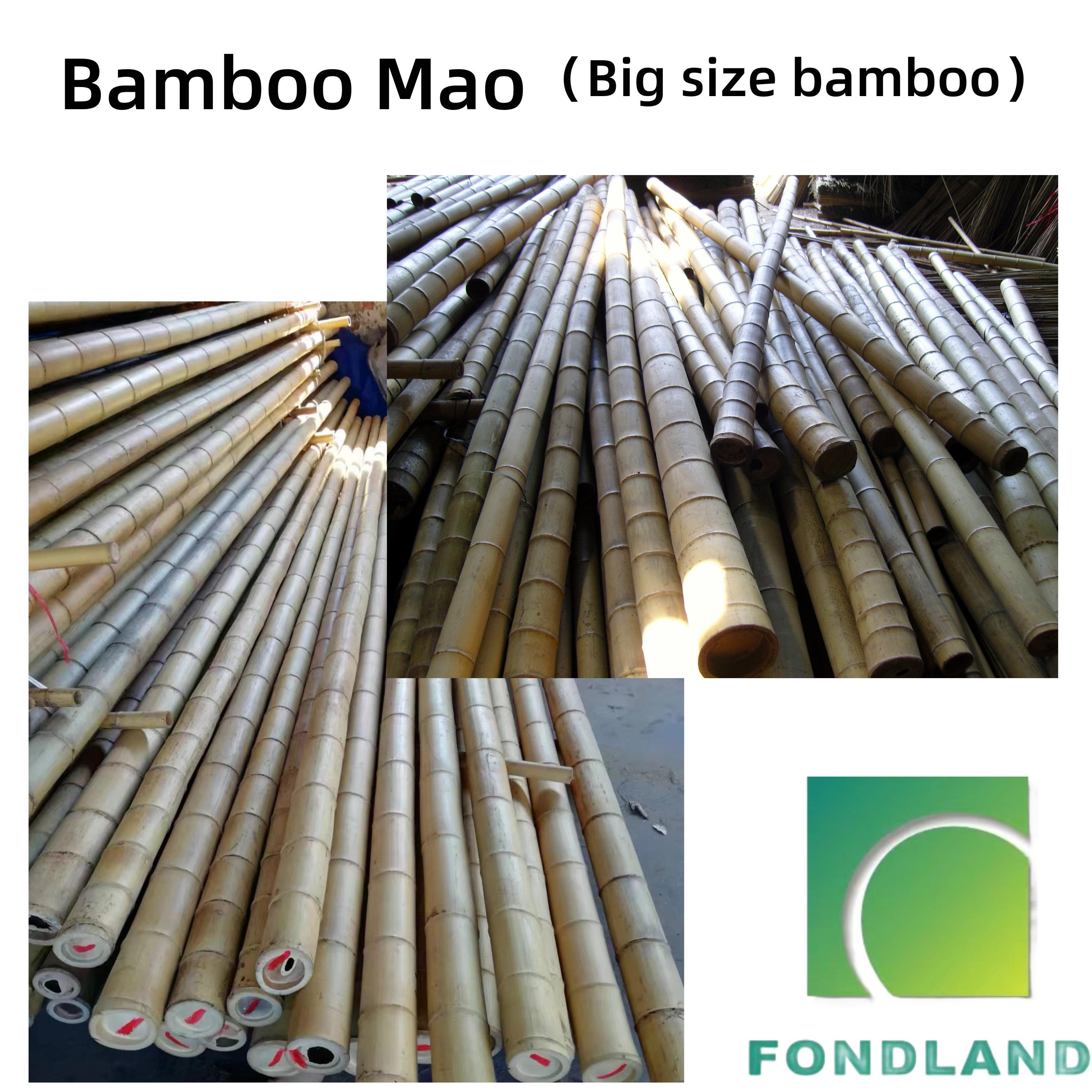 Fondland Bamboo Stakes