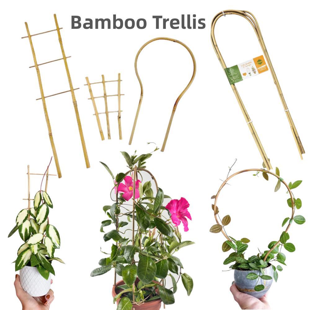 Fondland Bamboo Trellis