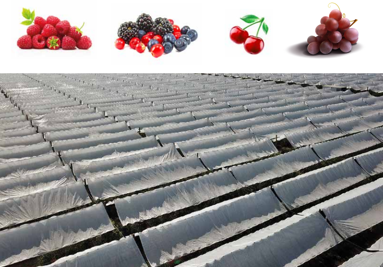 QINGDAO PUYOUNG PLASTIC PRODUCTS CO.,LTD. – tuerca hexagonal 3