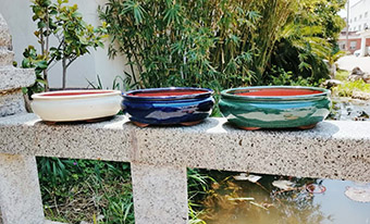 Lotus Bonsai Pot Ceramic