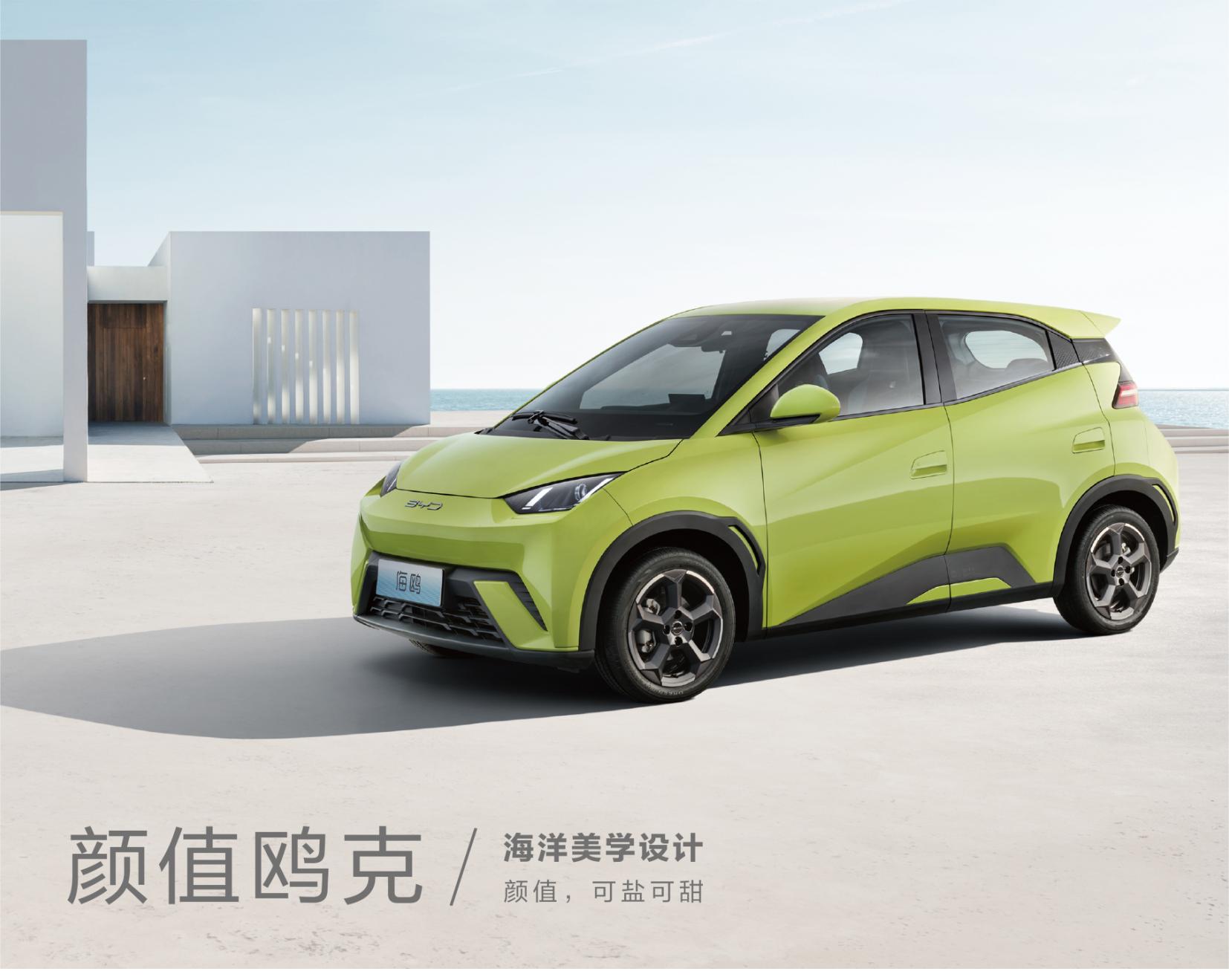 Hongxu Group Co.,Ltd – Fuel Cell Passenger Cars 3