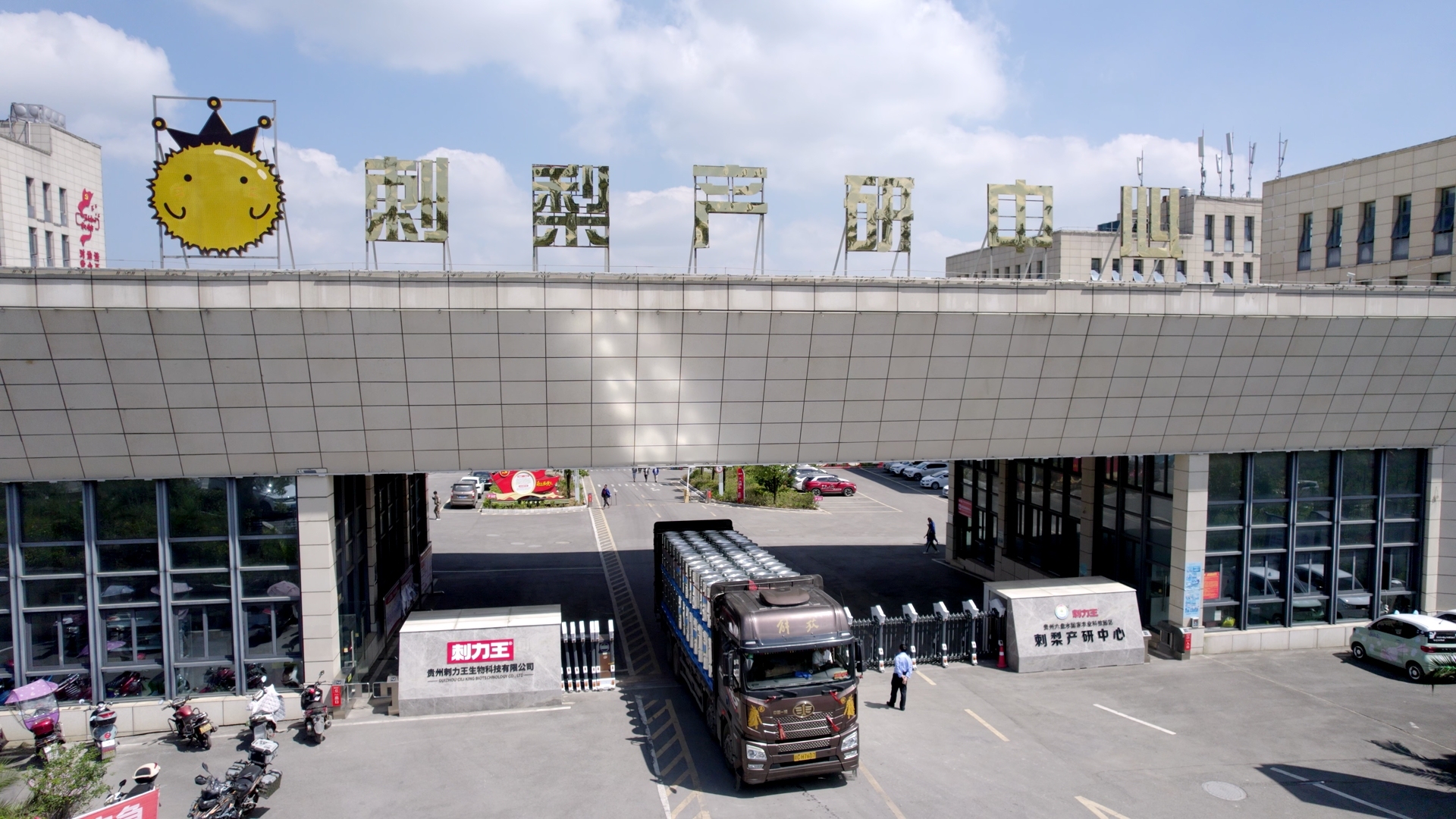 Guizhou Ciliwang Food Processing Co., Ltd. – té negro 2