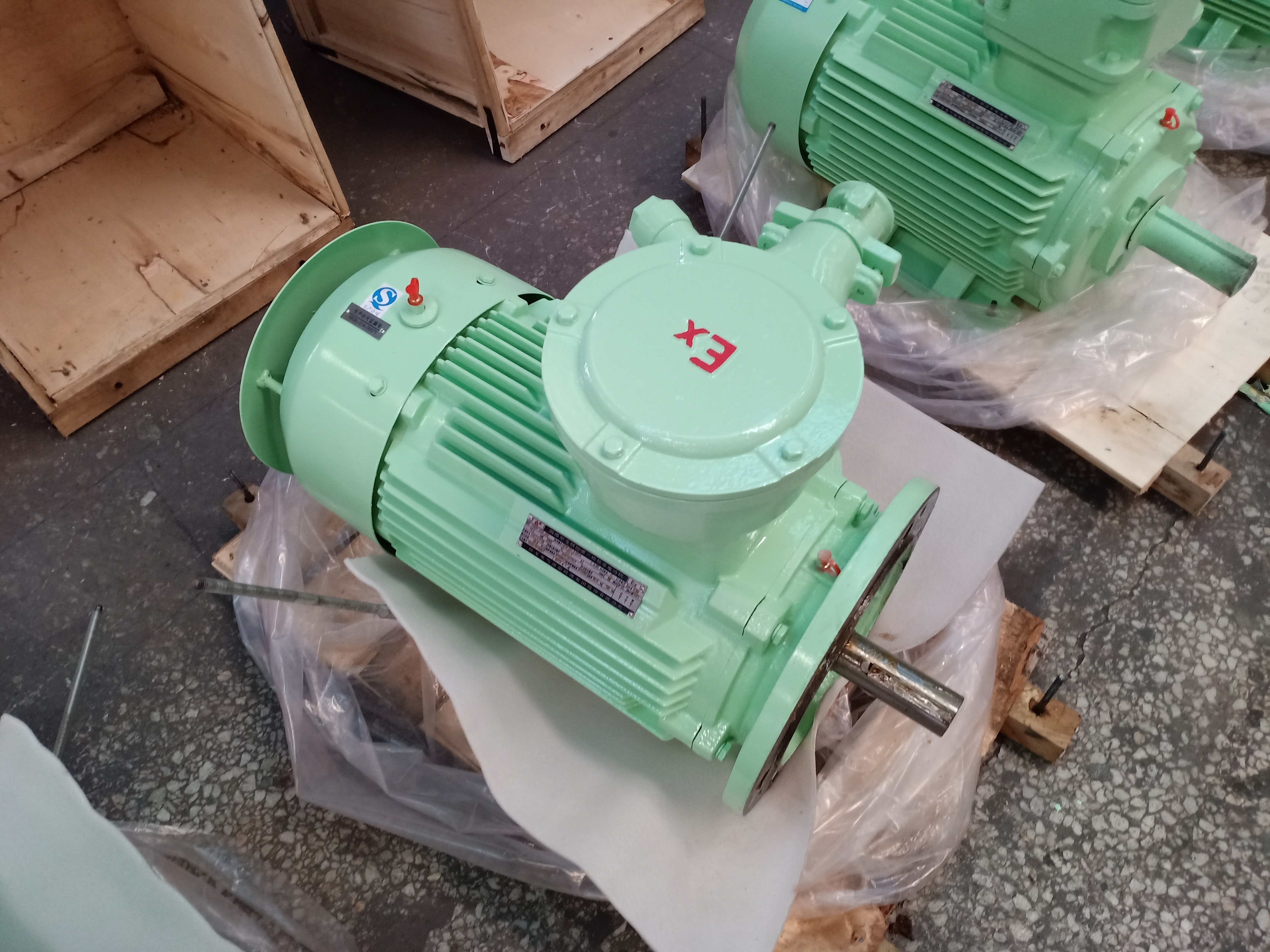 Flameproof three-phase asynchronous motor