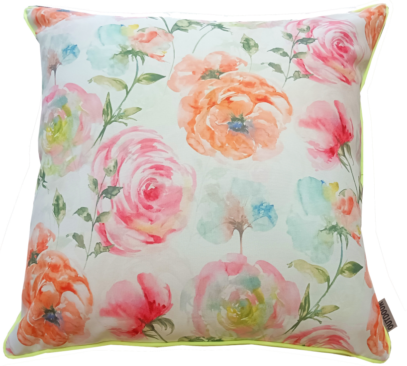 Cushion