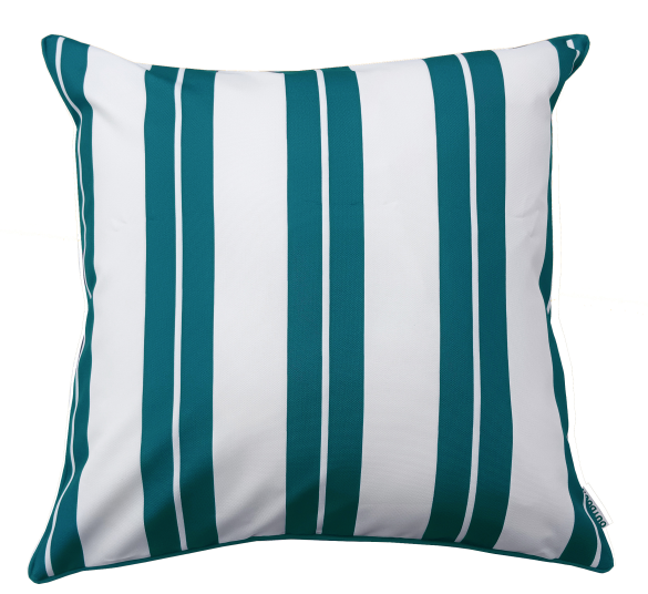 Cushion
