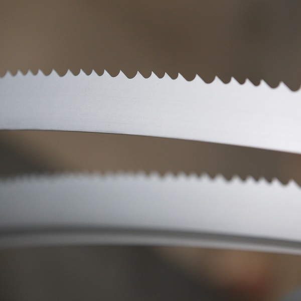 Benxi Lion Technology Import and Export Co., Ltd – clavo de hierro 2