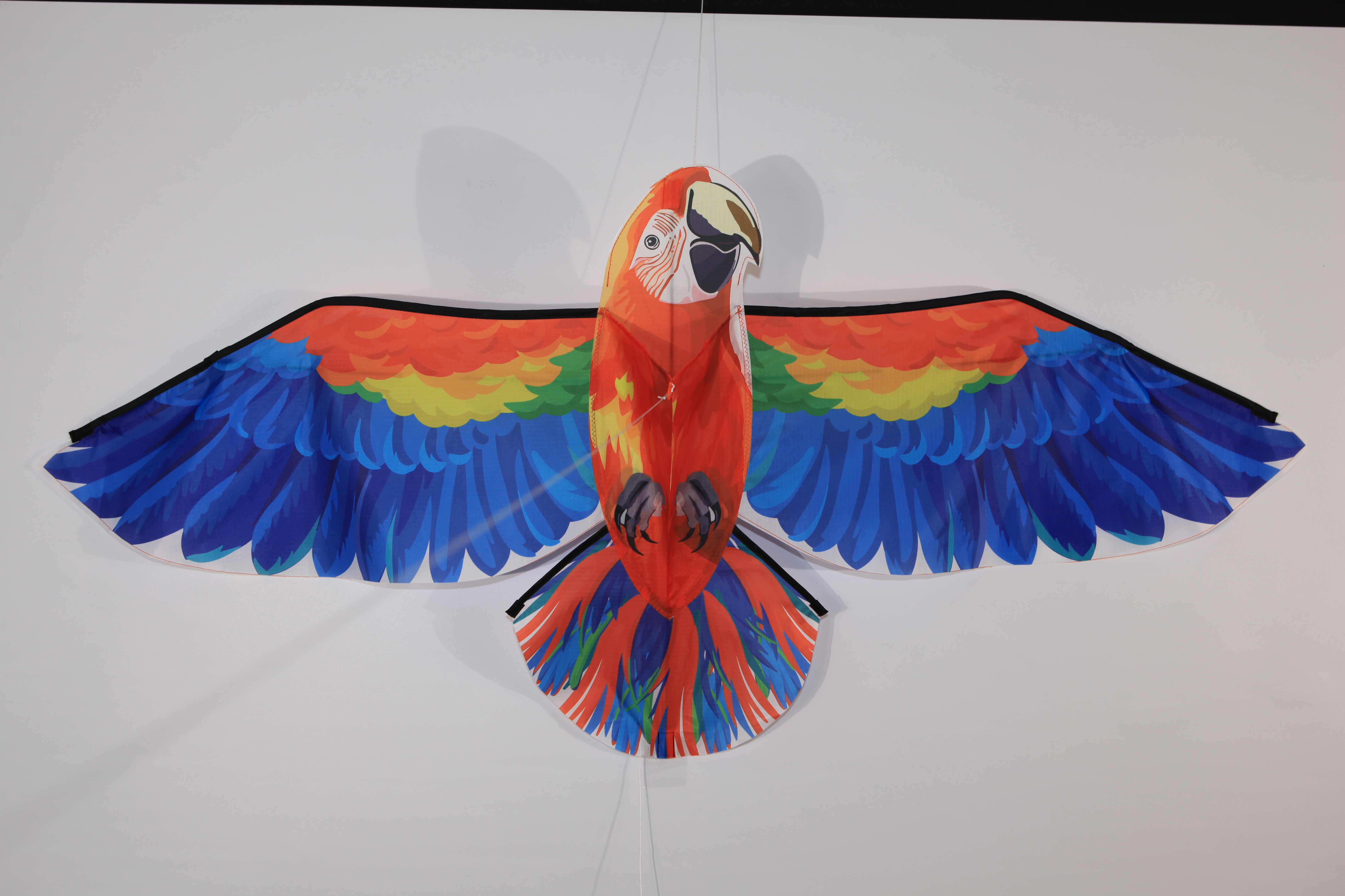 Bird Kite