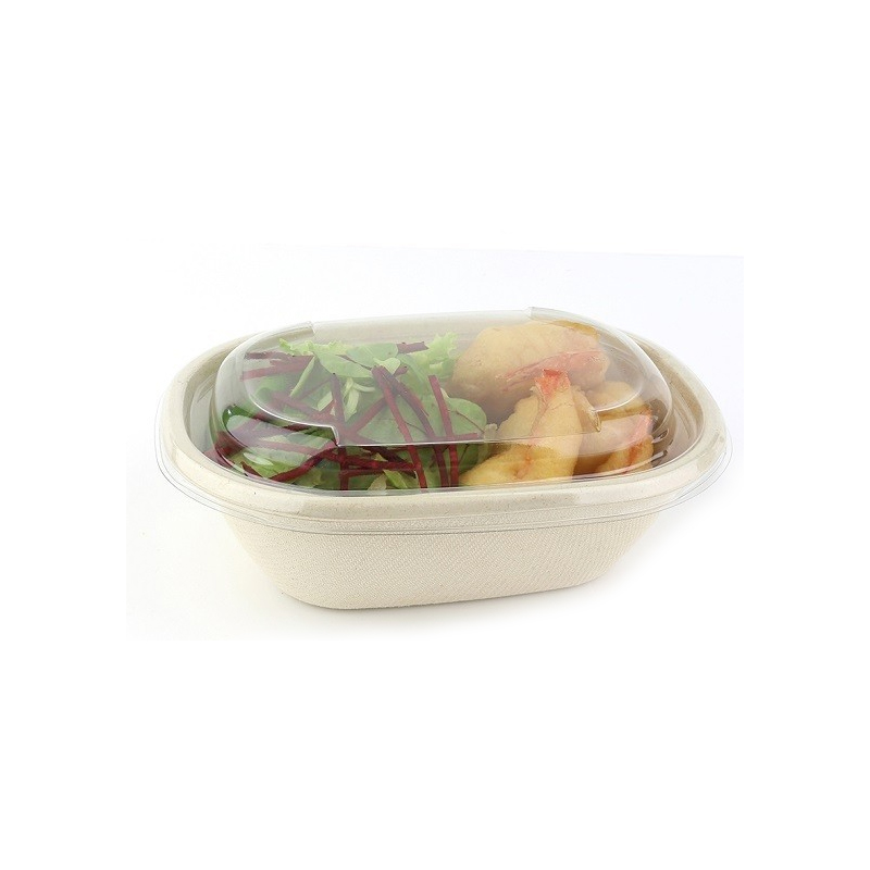 Bagasse food container