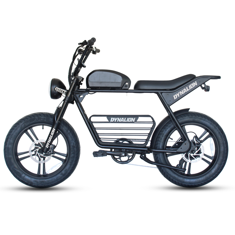 electric bike