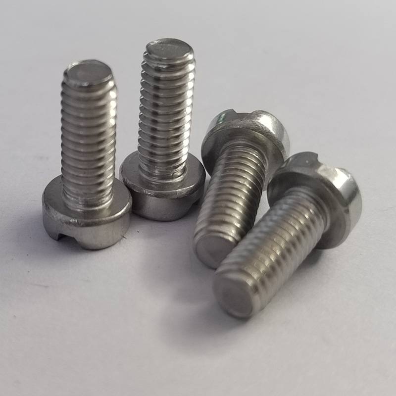 304SS Customized Screws
