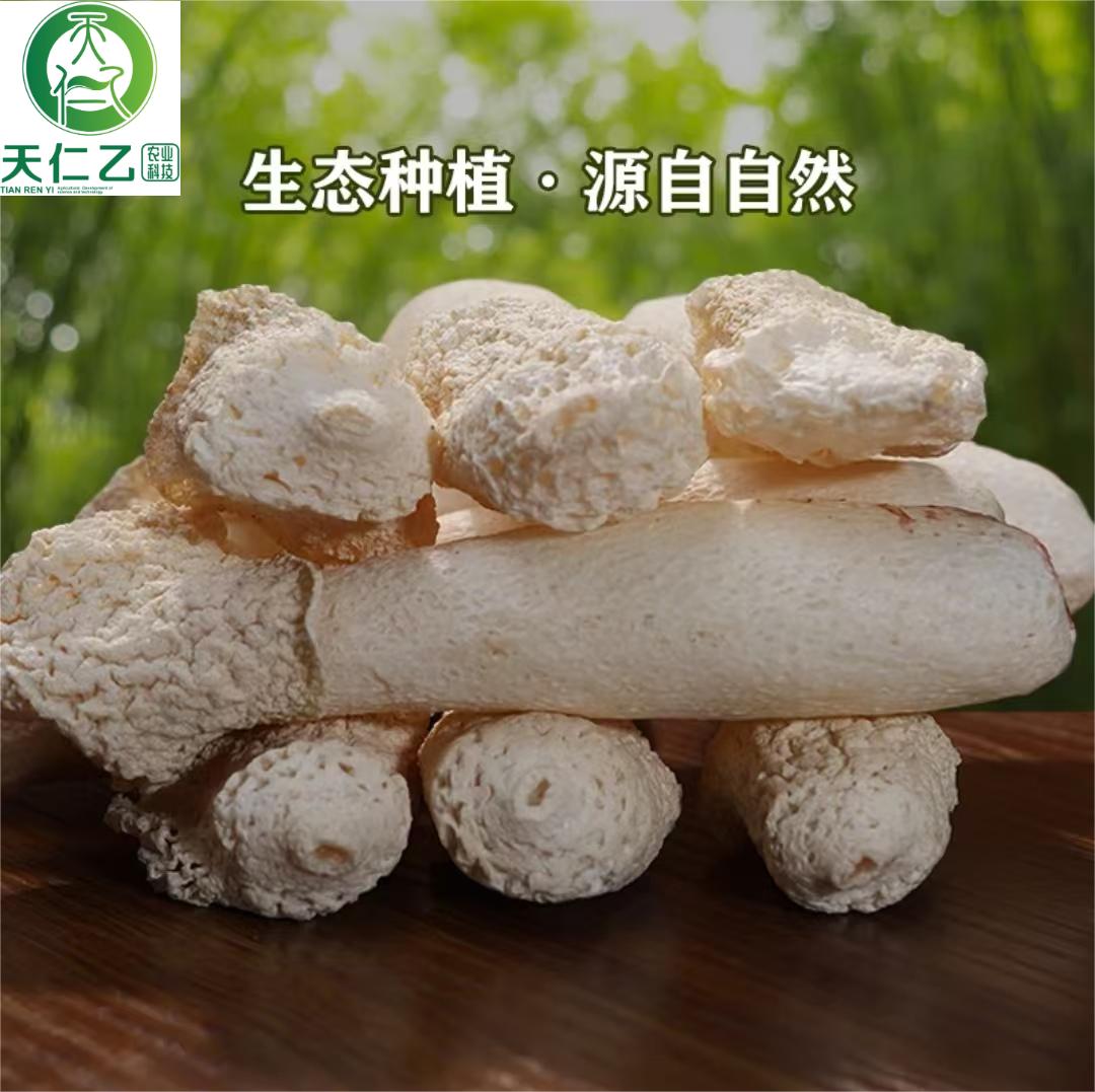 Guizhou Tianrenyi Agricultural Technology Development Co., LTD – colchoneta de yoga 4