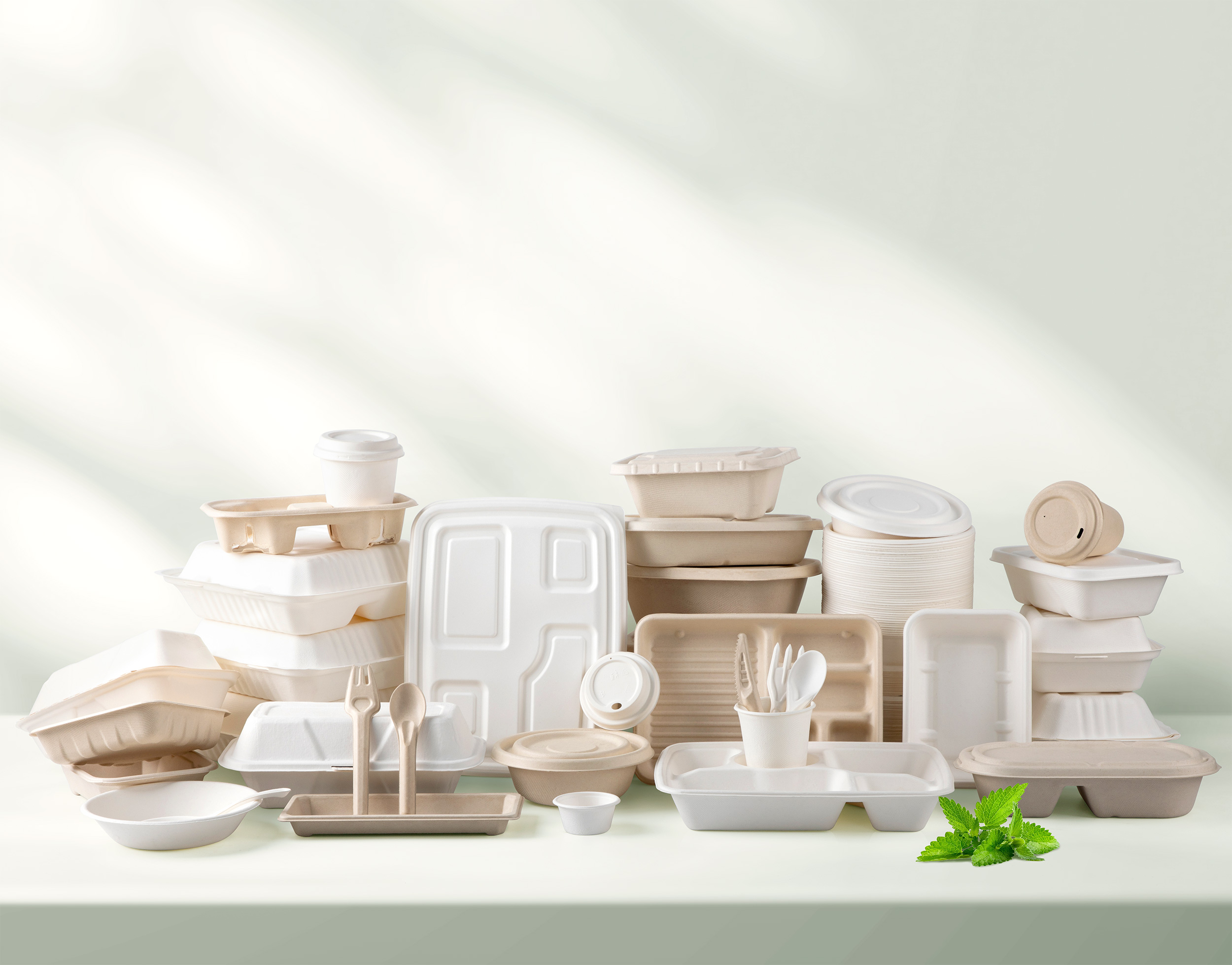 Baily(Ningbo)International CO.,LTD – Disposable tableware 4