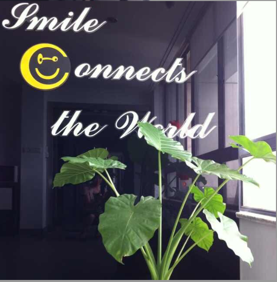 YANGZHOU SMILE IMP. & EXP. CO., LTD.