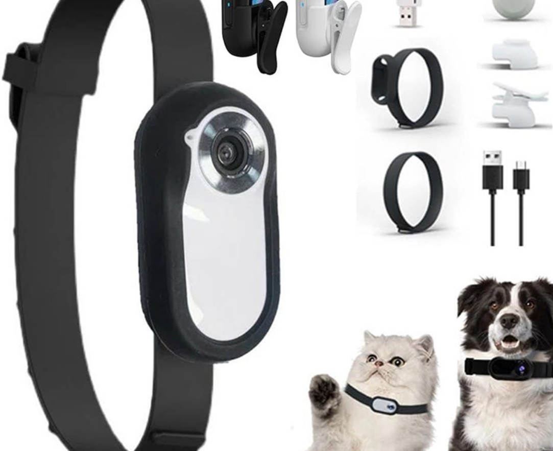 Cat Camera Collar