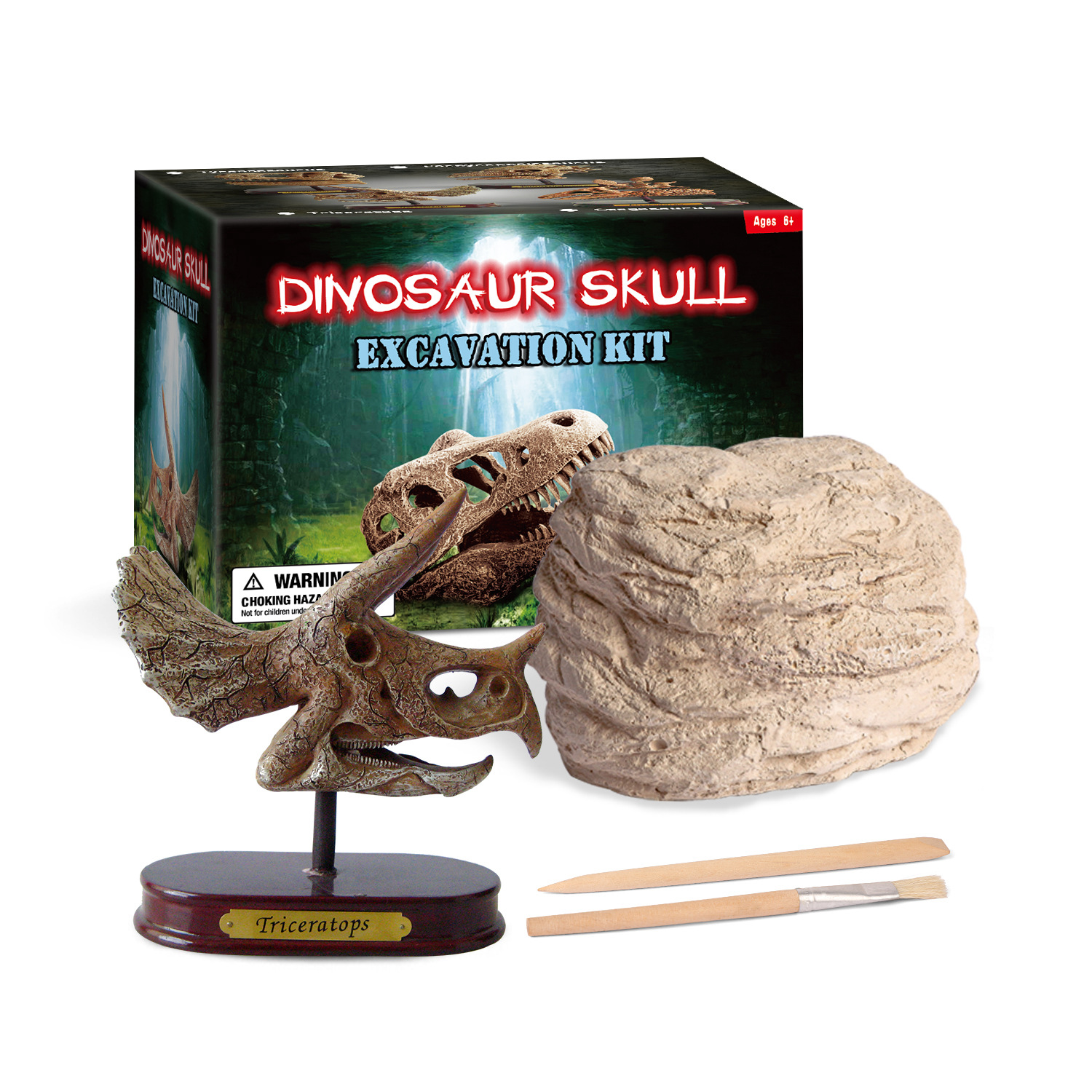 Dino Skull dig kit