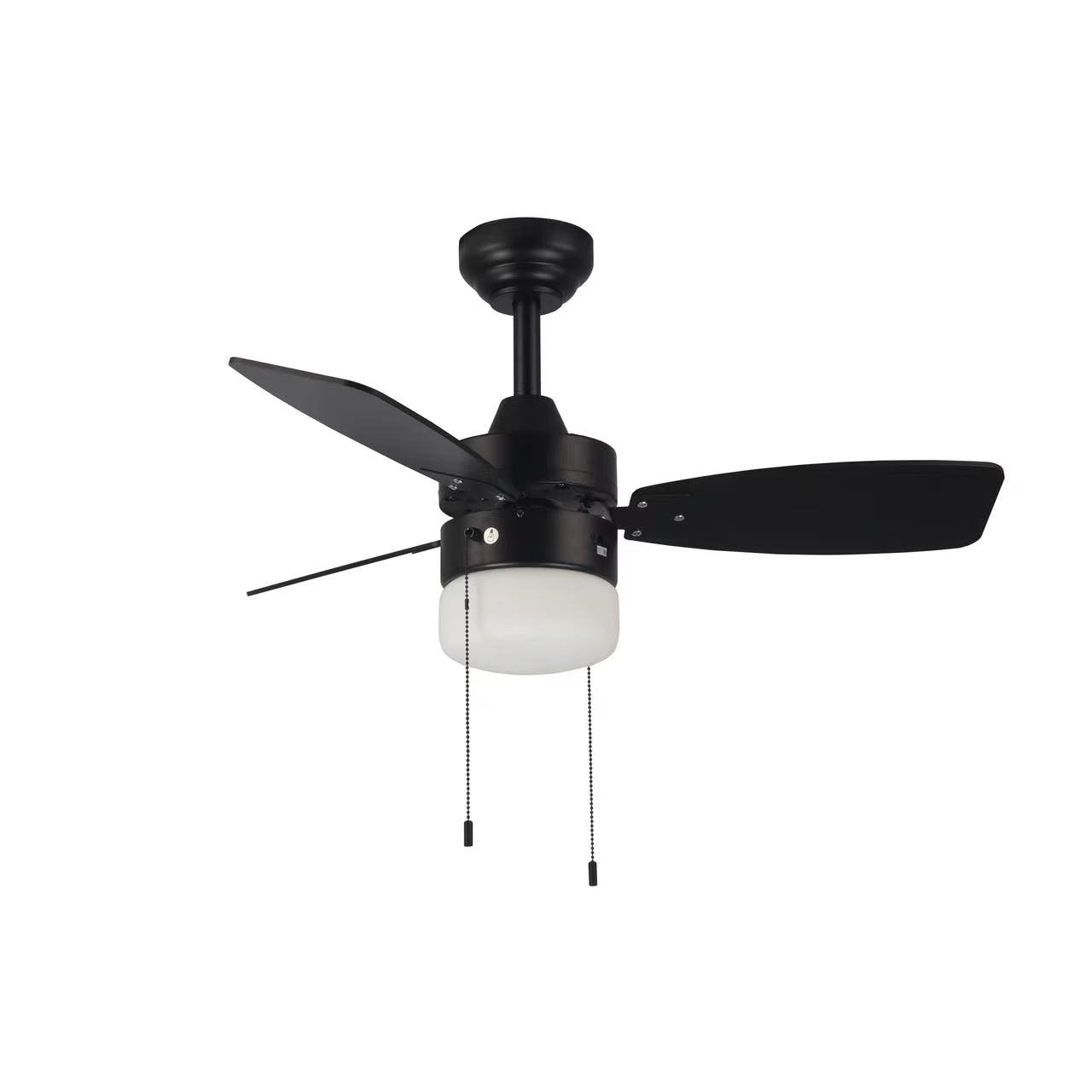 Ceiling fan with light