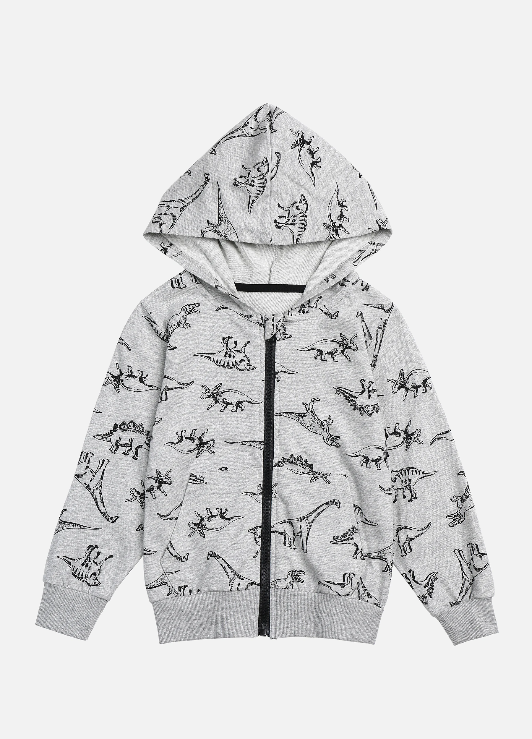 Boys' Fall Dinosaur Print Zip Front Plus Velvet Hoodie Coat