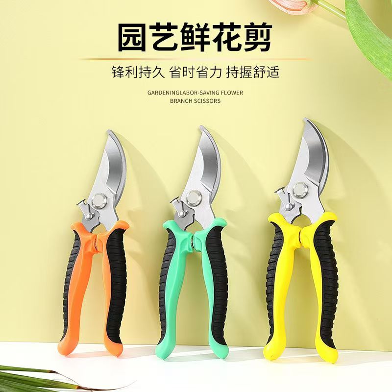 Guangzhou Dasi Supply Chain Co. , Ltd. – clavo de hierro 2