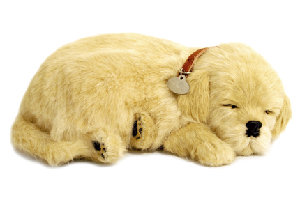 Perfect Petzzz Golden Retriever
