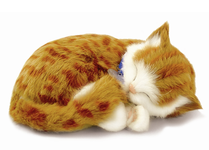 Perfect Petzzz - Orange Tabby