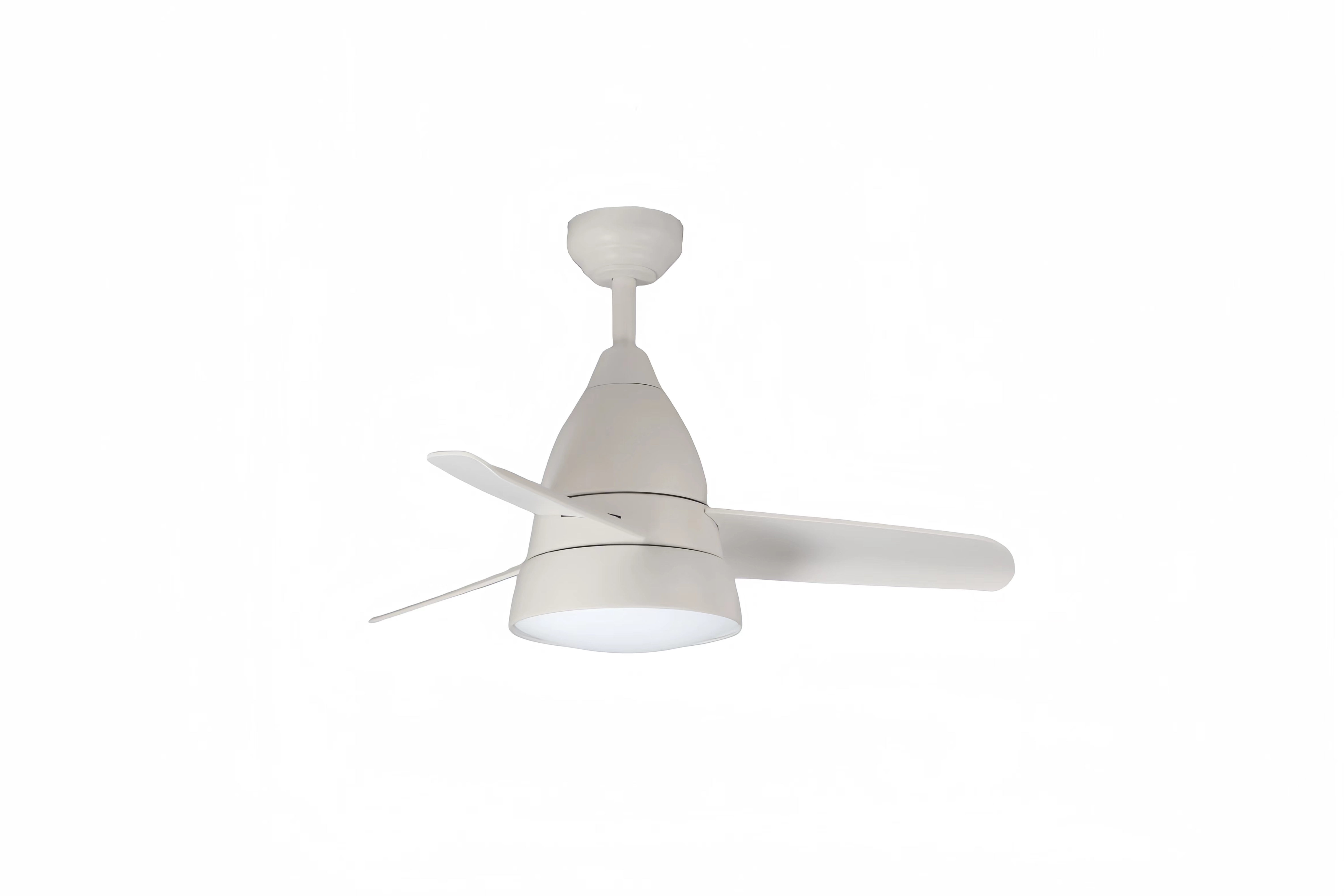 Ceiling fan with light