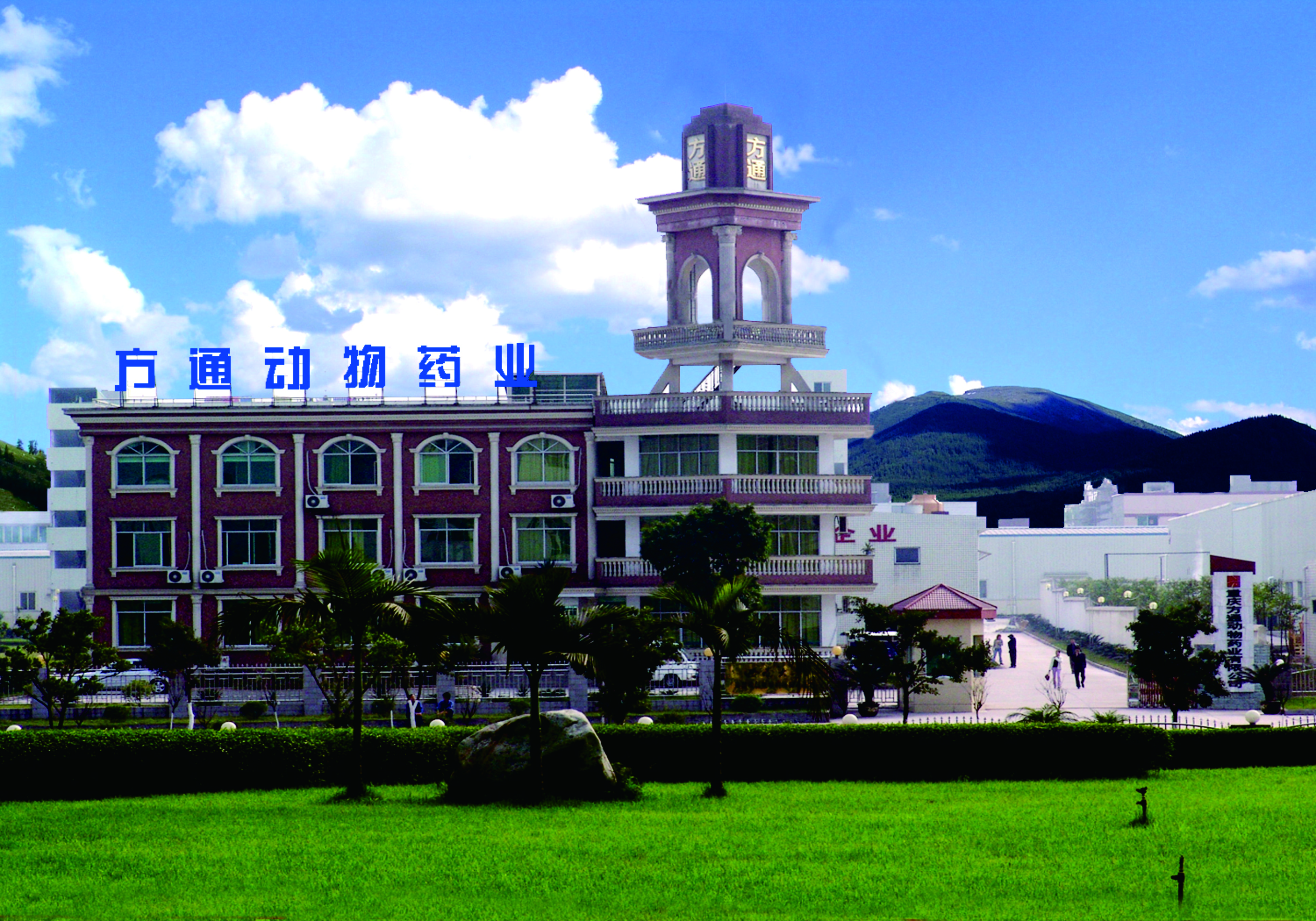 Chongqing Fangtong Animal Pharmaceutical Co., Ltd. – Powders 1