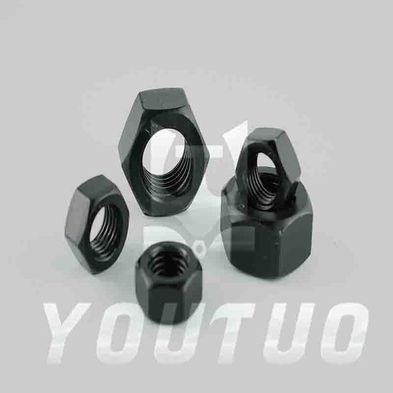 Hex Nut Din934/Gb6170/Iso4032