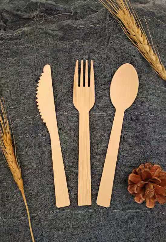 DALIAN ASL HOUSEWARE CO.,LTD – Dinner plate 2
