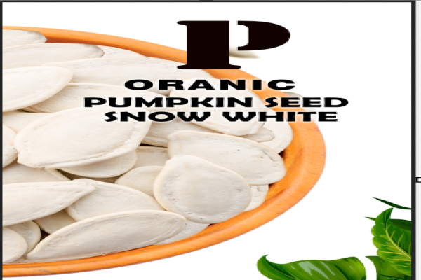XINJIANG BIO GRAINS AGRICULTURAL DEVELOPMENT CO.,LTD. – bicicleta de montaña 3