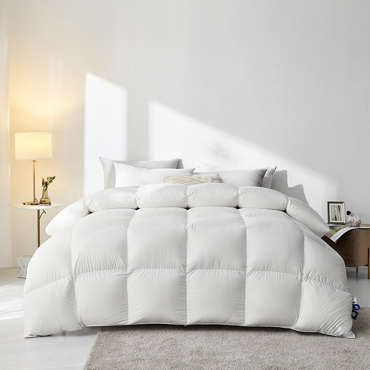 ANHUI COMFYTOUCH LTD – Comforter 3