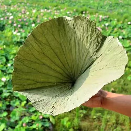 XIANGTAN YUANHANG LOUTUS INDUSTRY CO.,LTD – colchoneta de yoga 4