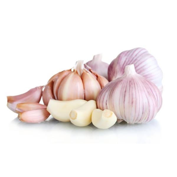 Qingdao Muyi interational Trading CO., Ltd – Fresh ginger 2