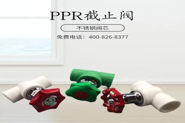 PPR stop valve