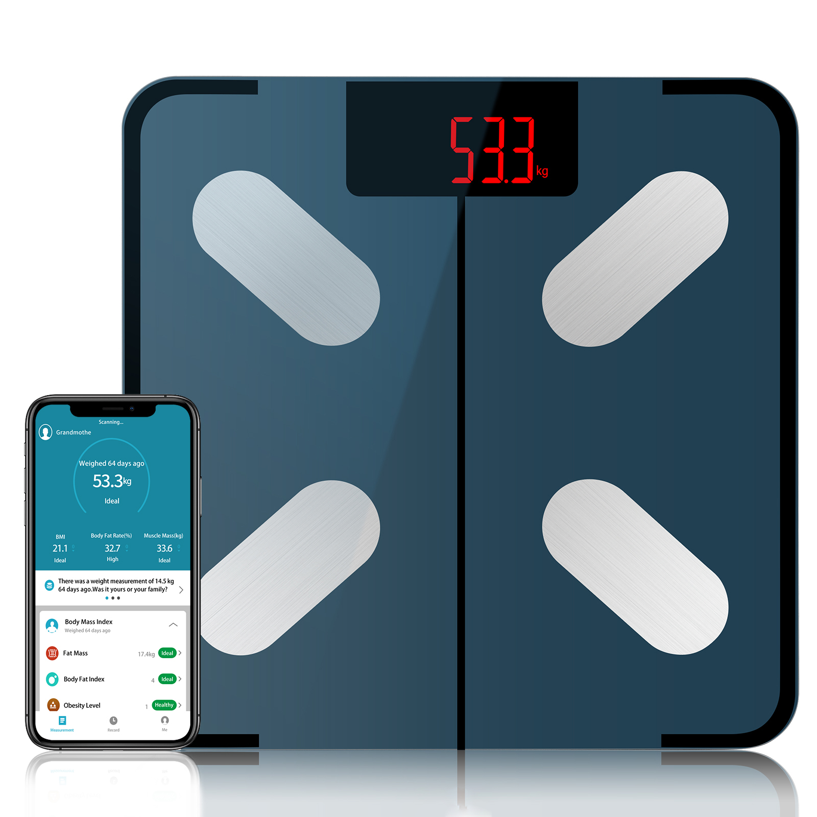 Body fat scale