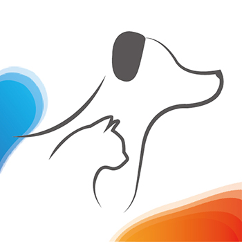 SkyRC Technology Co.,Ltd