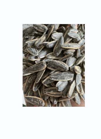 Wuyuan county Tianbao agricultural trade limited liability company – colchoneta de yoga 4