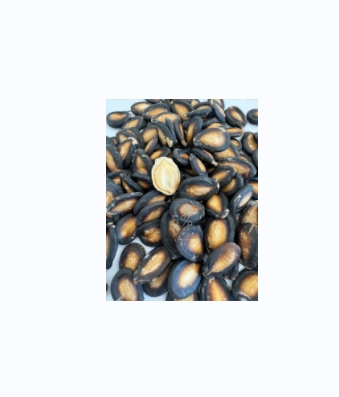 Wuyuan county Tianbao agricultural trade limited liability company – bicicleta de montaña 3