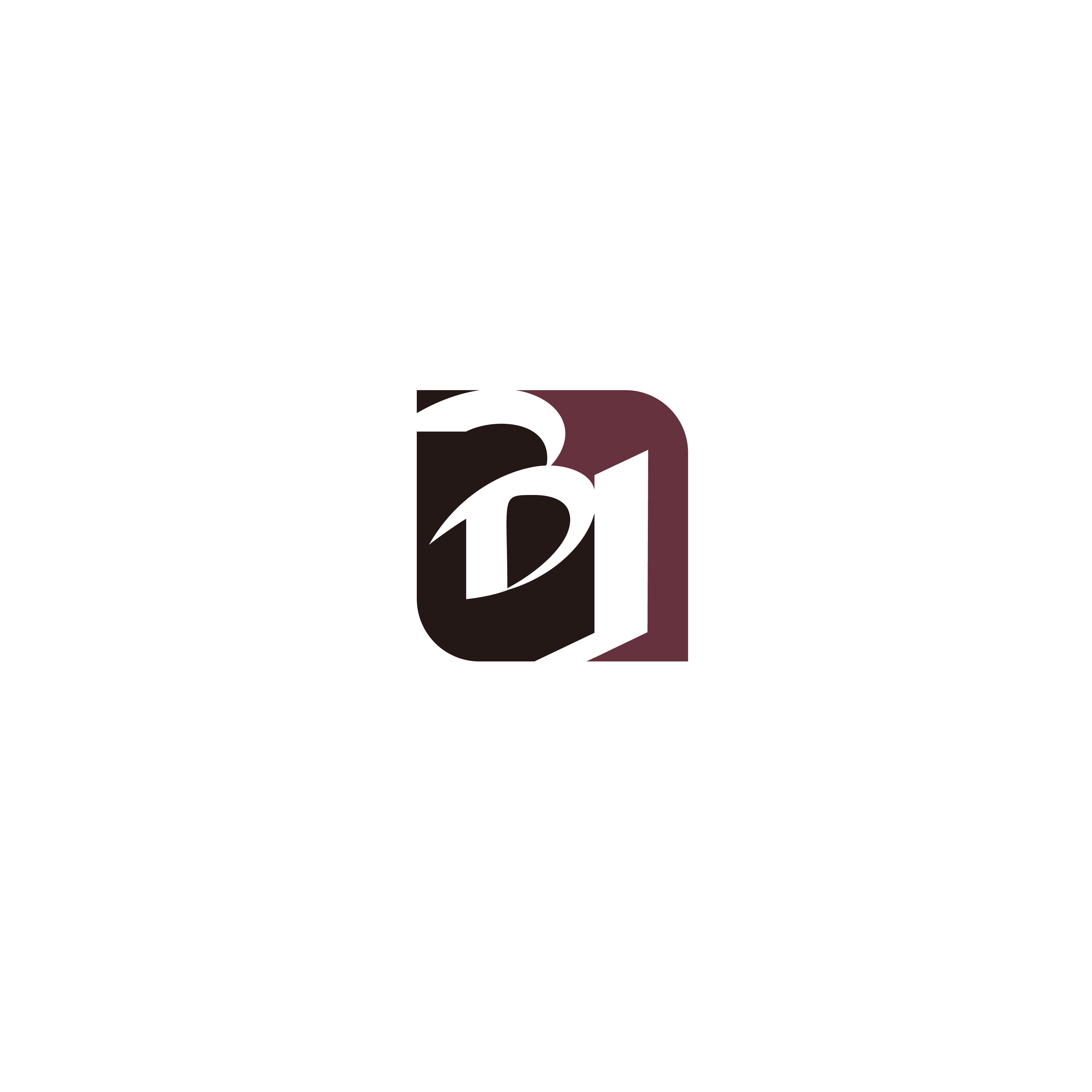 SHANDONG BEIJIE  INTERNATIONAL  CO.,LTD