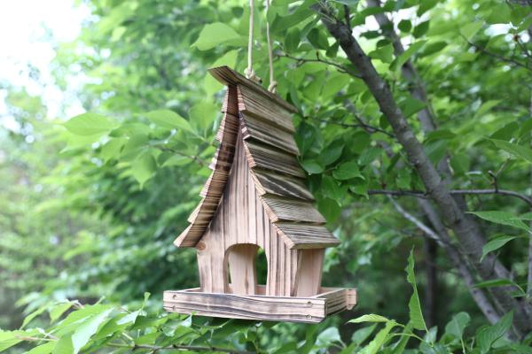 Wood Bird Nest
