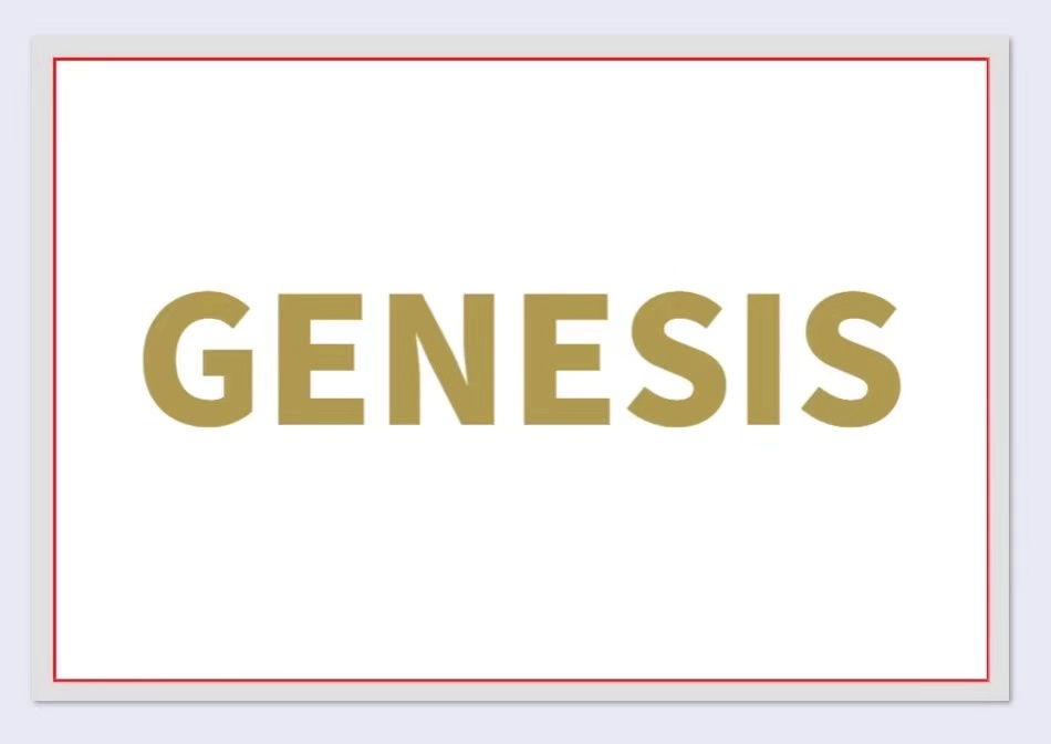 CHONGQING GENESIS IMPORT AND EXPORT COMPANY LIMITED