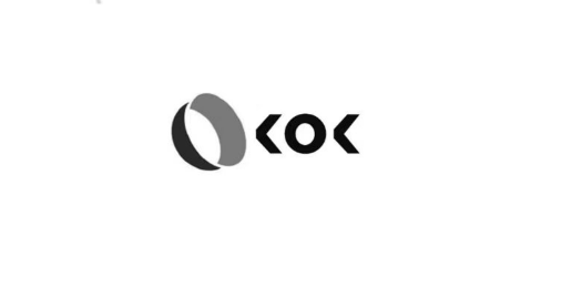 Shenzhen Kok Technology Co., Ltd