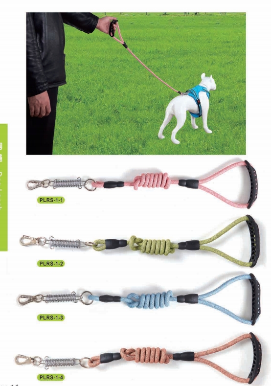 dog leash